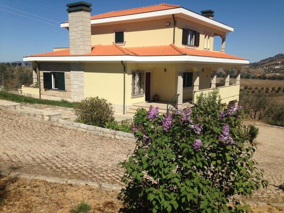 Villa Casa Dos Copins Lamego Exterior foto
